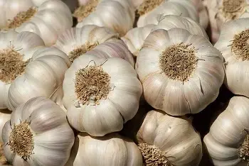 Cene belog luka na pijacama februar 2026