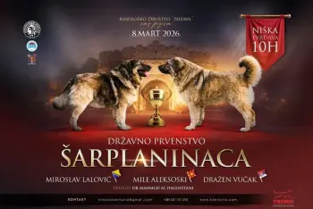 Program Izložba pasa šarplaninac Niš 2026