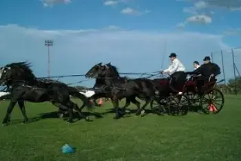 Program Fijakerijada Crepaja 2026