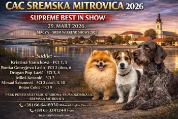 Program Izložba pasa Sremska Mitrovica 2026