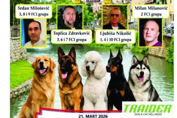 Izložba pasa Knjaževac 2026