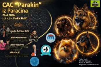 Izložba pasa Paraćin 2026