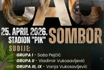 Izložba pasa Sombor 2026