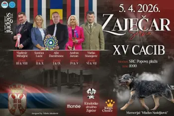 Izložba pasa Zaječar 2026