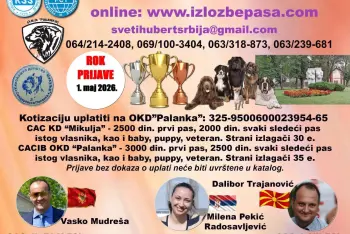 Izložba pasa Smederevska Palanka 2026