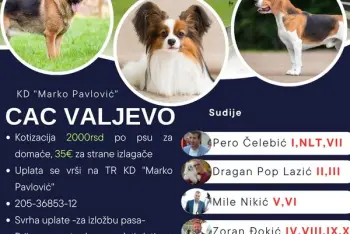 Izložba pasa Valjevo 2026