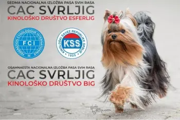Izložba pasa Svrljig 2026