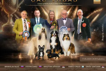 Izložba pasa Vrbas 2026