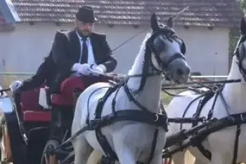 Fijakerijada Iđoš 2026