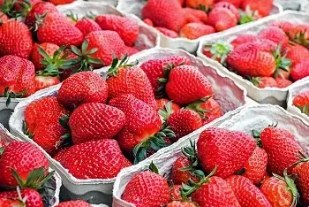 Cene jagoda na pijacama mart 2026