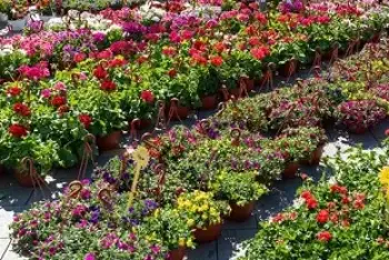 Program Dani cveća i meda Kusiće 2026