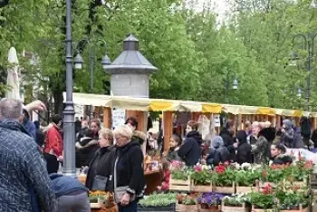 Majske svečanosti Prigrevica 2026