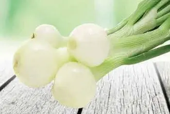 Cene mladog crnog luka na pijacama april 2026