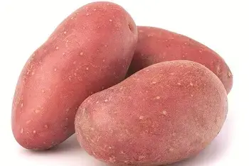 Cene krompira na pijacama april 2026