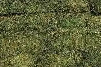 Cene deteline na pijacama april 2026