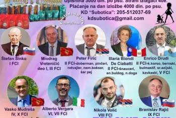 Izložba pasa Subotica 2026
