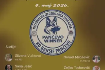 Izložba pasa Pančevo 2026