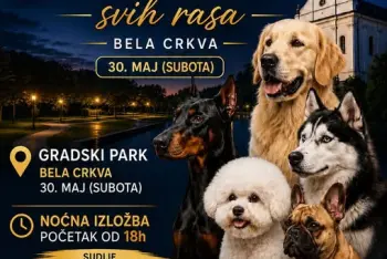 Izložba pasa Bela Crkva 2026
