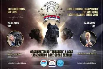 Izložba pasa cane corso Lokve 2026