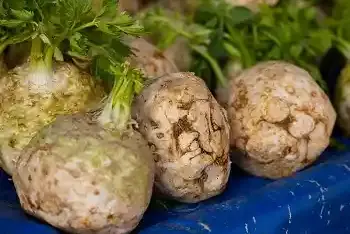 Cena koren celera u Lidlu 16.09.2026