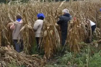 Festival kukuruza Torda 2026