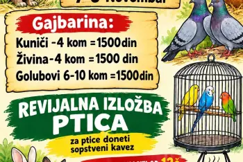 Izložba sitnih životinja Bački Petrovac 2026