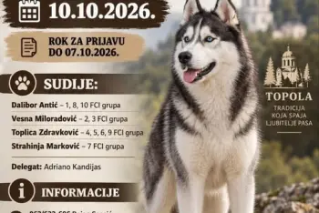Izložba pasa Topola 2026