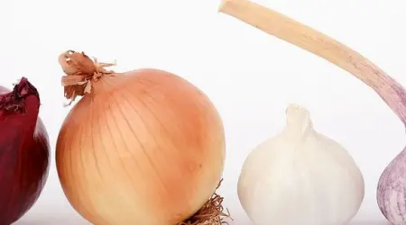 Punjeni crveni luk sa kupusom - recept