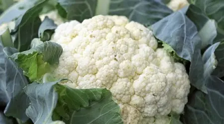 Kremasta i lagana jesenja čorba od karfiola - recept