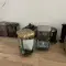 Cene i oglasi na pijacama