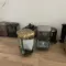 Cene i oglasi na pijacama