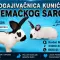 Cene i oglasi na pijacama