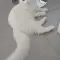 Cene i oglasi na pijacama