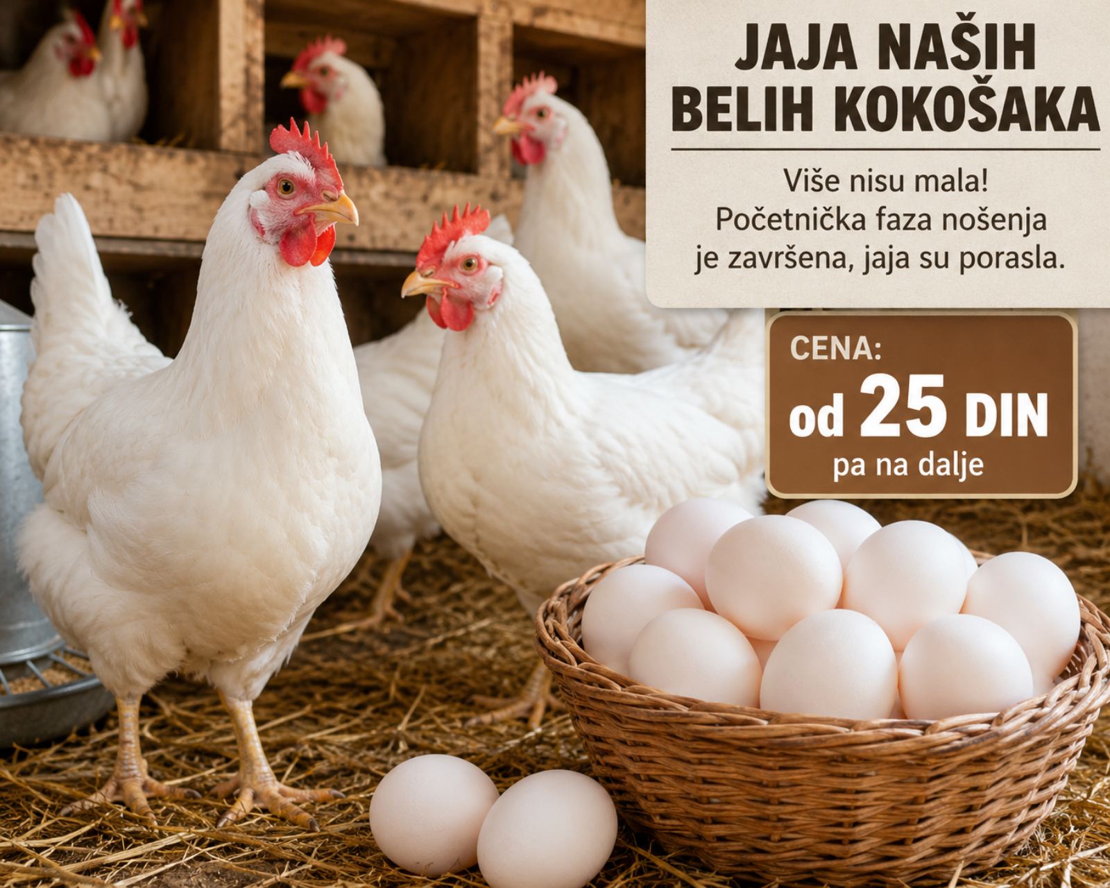 Cene i oglasi na pijacama