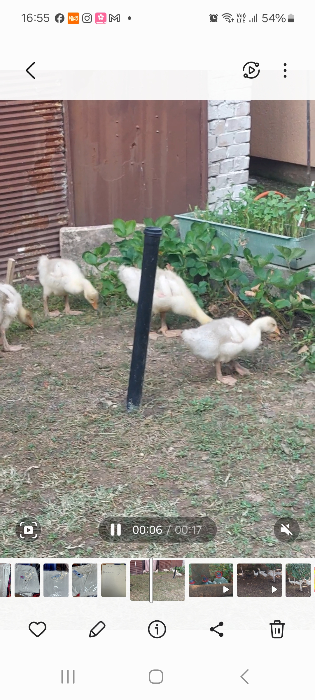 Cene i oglasi na pijacama