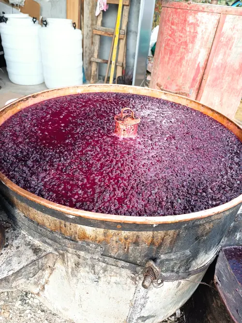 Cene i oglasi na pijacama