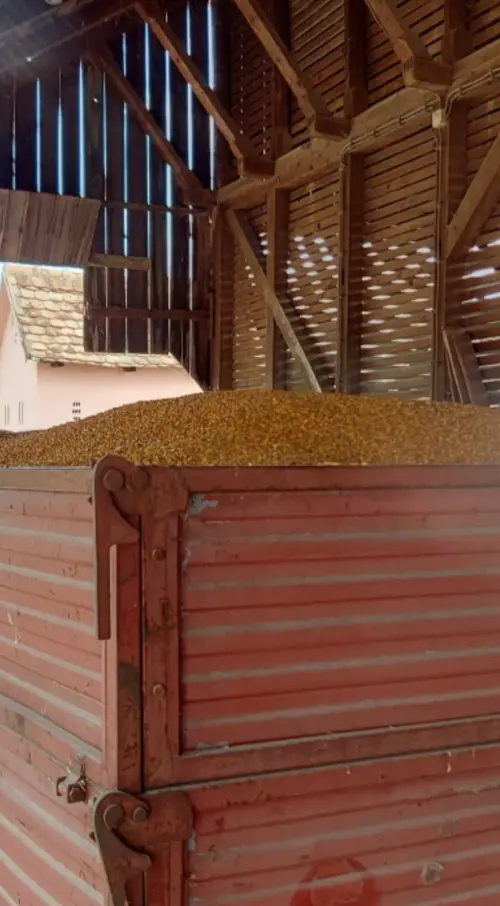 Cene i oglasi na pijacama