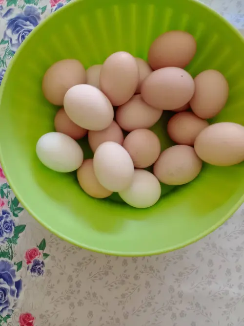 Cene i oglasi na pijacama