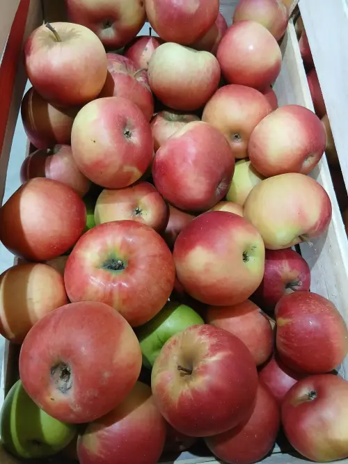 Cene i oglasi na pijacama