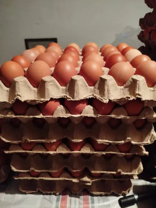 Cene i oglasi na pijacama