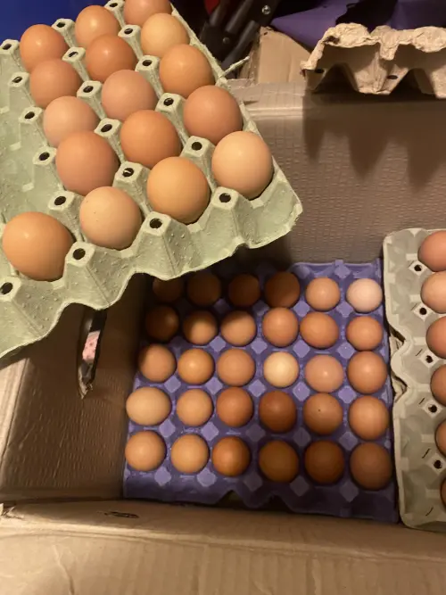 Cene i oglasi na pijacama