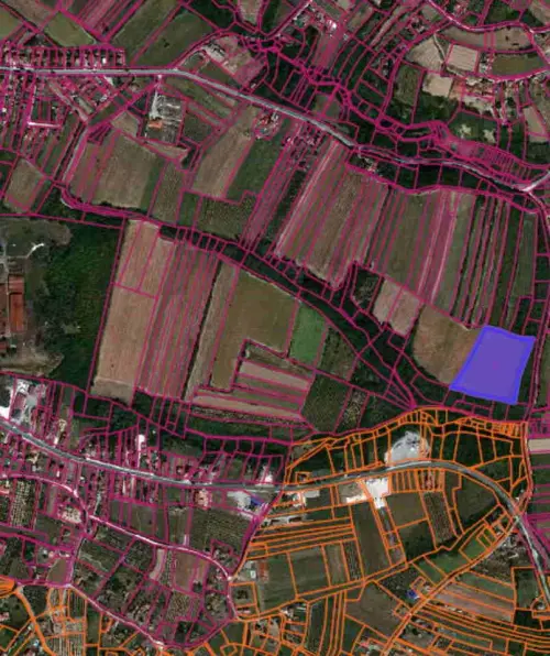 Cene i oglasi na pijacama