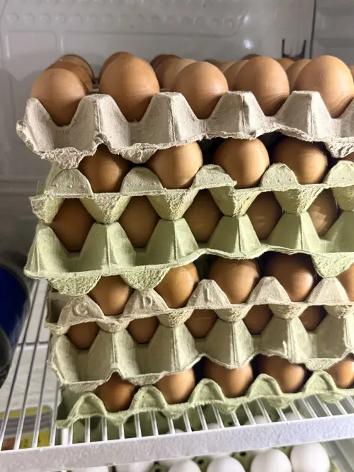 Cene i oglasi na pijacama