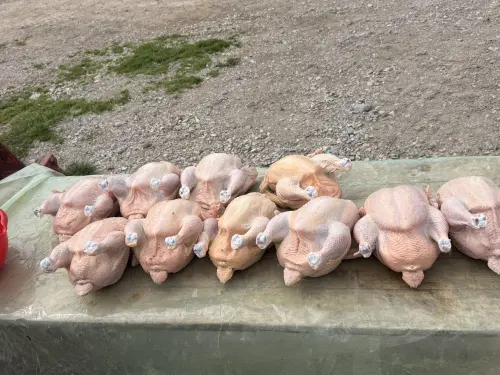 Cene i oglasi na pijacama