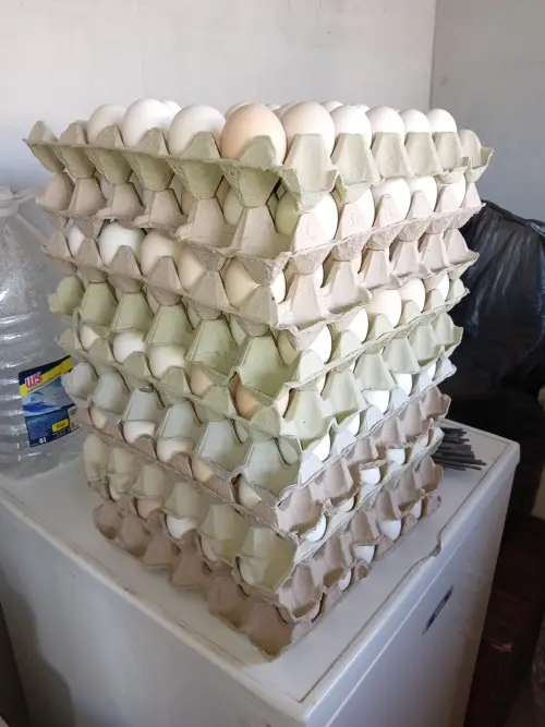 Cene i oglasi na pijacama