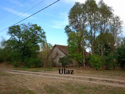 Cene i oglasi na pijacama