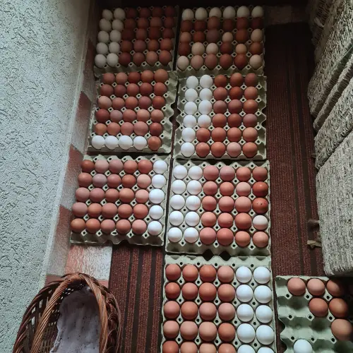 Cene i oglasi na pijacama