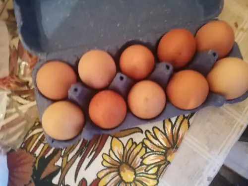 Cene i oglasi na pijacama