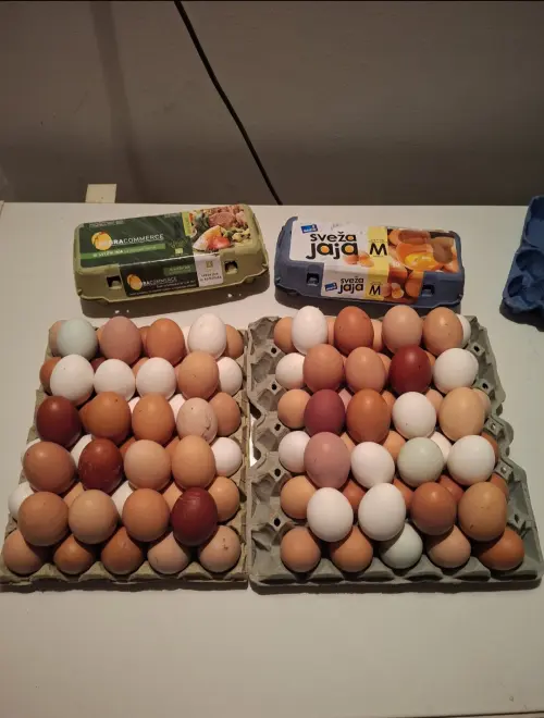 Cene i oglasi na pijacama