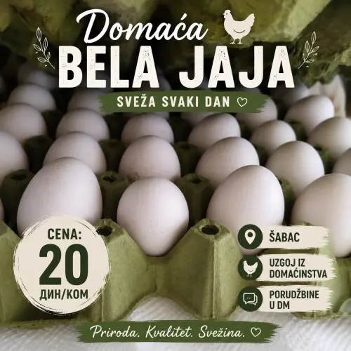 Cene i oglasi na pijacama